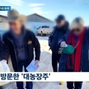 넬슨팜 이미지