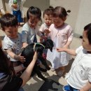 와우 동물농장 이미지