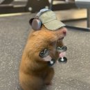 [뷰티] 노원피부관리 아리아뷰티 윤곽관리 후기 노원경락 효과 솔직리뷰