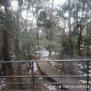 멘도롱식당 | 아이랑 제주도 숲에서 × 환상숲곶자왈