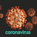 경희강창민한의원 이미지