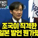 조국이 직격한 정진석의 일본 발언 뭔가했더니 뜨악 이미지