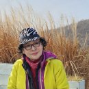 장자호수로 이미지