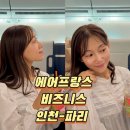 267 | 에어프랑스 비즈니스 인천 파리 AF267 기내와이파이 기내식과 간식후기