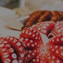 양포문어 이미지