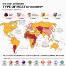 매핑됨: 국가 및 유형별 육류 소비 이미지