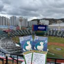56 | 부산 사직야구장 직관 후기 | 사직구장 중앙상단석 56블럭 10열 시야, 사직 먹거리, 누리굿즈(+ 호호...