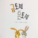 금토끼은토끼