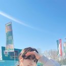 고이드림