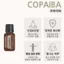 정수의료재단(중복) | #도테라오일사용법 #오일의왕 #프랑킨센스효능 #만능오일 #피부재생 #주름 #시력개선 #공황장애