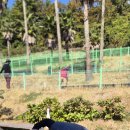 〔파크골프〕 호국 파크골프 동호회 제7차 월례 대회 개최 이미지