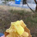얼음꽃아이스크림할인점(아현이대점)