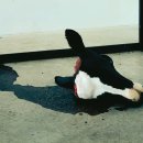 데미안 허스트 이미지