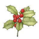 홀리호랑 이미지