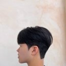 엘이오 이미지