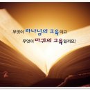 성도주유소 이미지