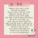 월드켄넬 이미지