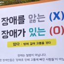 수영교 이미지