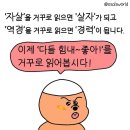 창신세탁소 | 다들 힘내~좋아!를 거꾸로 읽어봅시다!