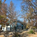 식만로 | 낙동강뷰가 맛있고 빵이 예뻐요 카페 흐른 내돈내산 후기:)