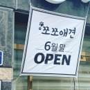 쪼쪼애견 이미지