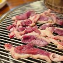 여우성인PC 이미지