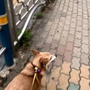 감자동물병원 이미지