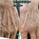 엘스템 - 김해시 가락로 223 | 엘스템