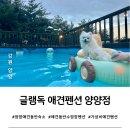 양양군 천연잔디축구장 | [양양 애견동반 숙소] 강원도 강아지 수영장 애견펜션 글램독 양양점(가성비 굿)