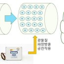 쎄스 이미지