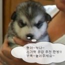 필동물종합병원 이미지