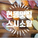 스시소월 이미지