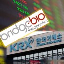 브릿지 유한회사 이미지