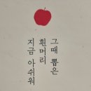 책 이야기 75 ♡ 사랑인 줄 알았는데 부정맥