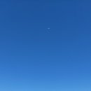 경기도 수원시 장안구 창훈로40번길 창훈로52번길 | 카메라 없어서 아쉬웠던 하루