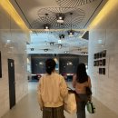 [울산 호텔] 울산 강동 &#34;머큐어앰버서더울산&#34; 호캉스 : 오션뷰 11층 방문 후기 (오션뷰 + 일출뷰)