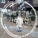 국립가리왕산자연휴양림 | 가리왕산 자연휴양림 숲속의 집 파랑새방 와이파이 등 1박 후기