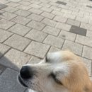 상림각