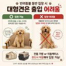 계정프라자 | 광교중앙역 맛집 뭉텅 광교점, 삼겹살 주먹구이 수원 고기집 후기