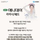 애니데이 - 남동구 석정로 505 | 애니데이