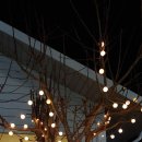 커피하우스117 이미지