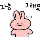 딜리데이 이미지