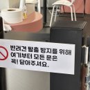 도그와트 | 문학경기장 실외 애견카페 도그와트