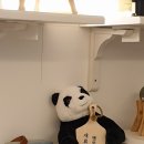 달미코코 이미지
