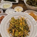 삼전생생고기 이미지