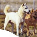 홍주목장 이미지