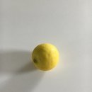 죽백동 소로 3-76 | 외향인 체험기