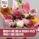 월드플라워 | 계양구 졸업식 꽃다발 추천｜분갈이 맡기기 좋았던 월드플라워