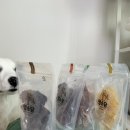 멍소담 | 강아지 수제간식 추천 멍소담 바삭야채칩 사슴·말·오리·고구마 먹어본 후기