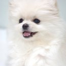 예뻐예뻐